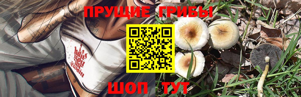 Псилоцибиновые грибы мухоморы Москва